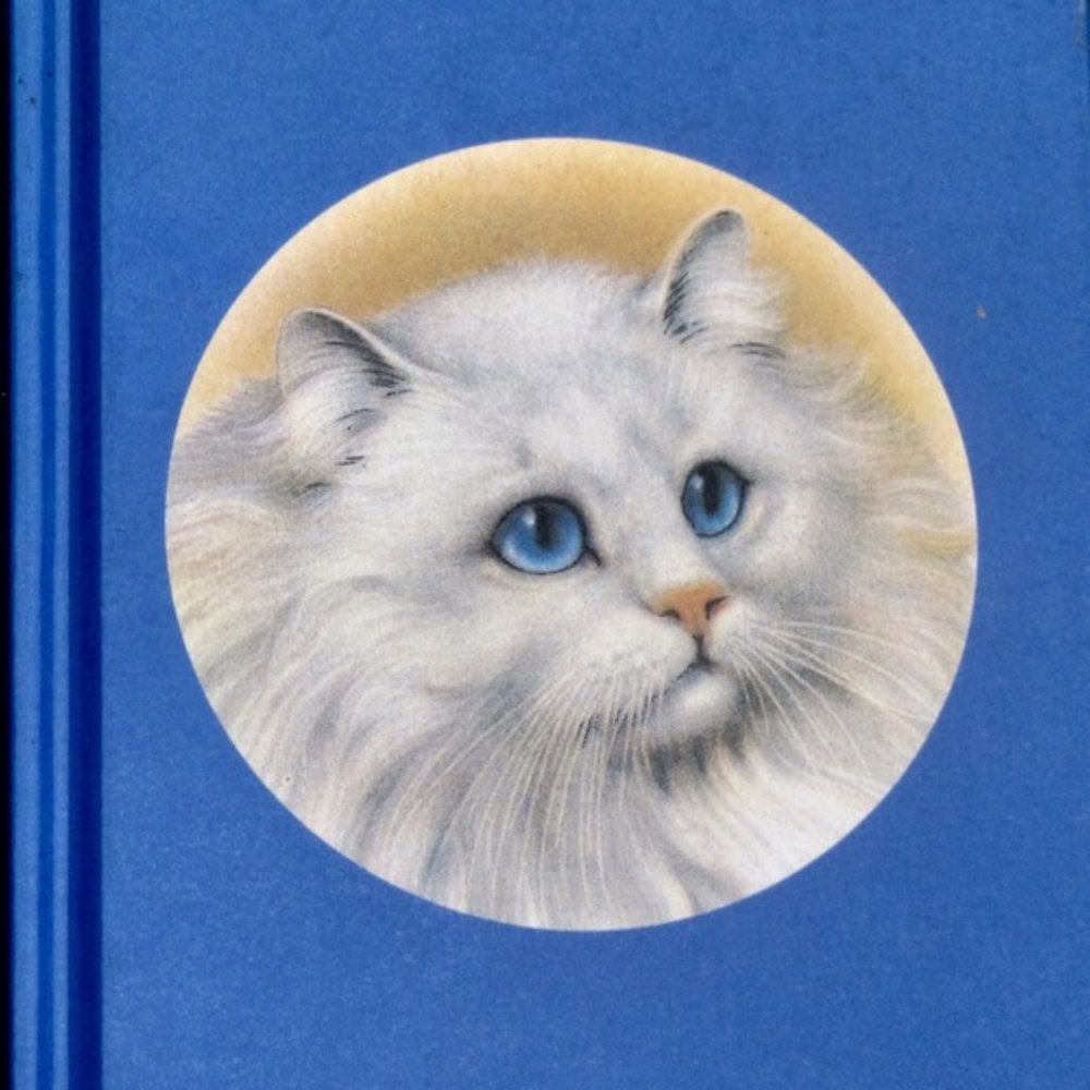 White long Haired Cat Address Book (New)